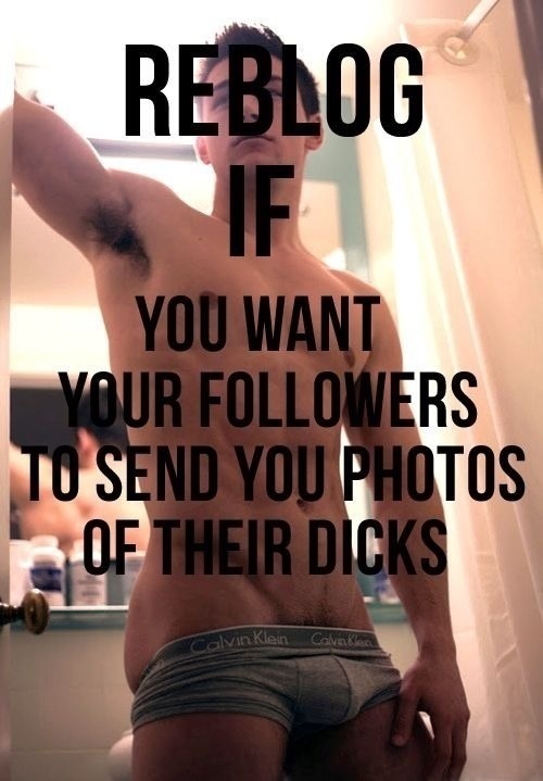 justapornblogforyou: troj69: littleredrocket55: awkwardlikeme2: My followers dick pics sure get my j