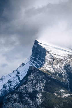 nathanielatakora:  Rundle