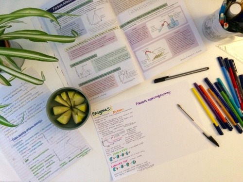 25.3.17 || Back To Basics With Enzymes Ft. New Pens And A Lovely Apple 
