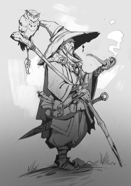 Wizard And Owl By Caio Monteiro