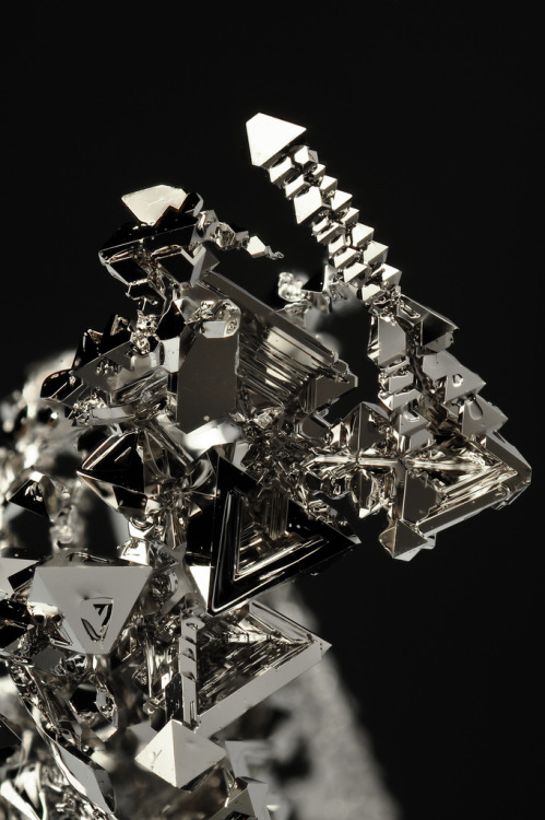themineralogist:  Palladium (by fluor_doublet)