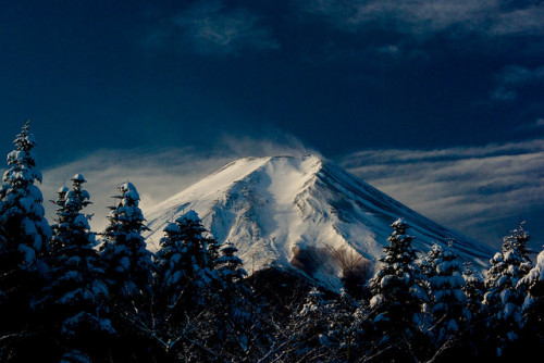 Fresh snow and Mt. Fuji