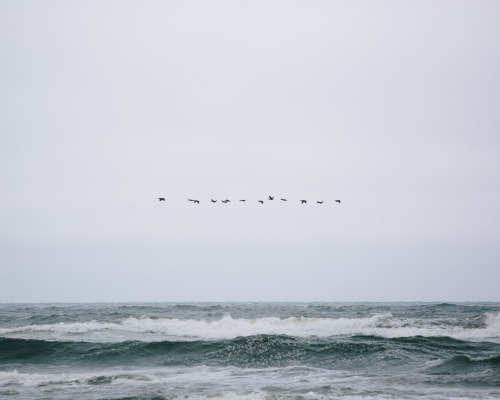 itakephotosofallthethings:  The Great Pacific Northwest Departure Cape Disappointment, WA View it on