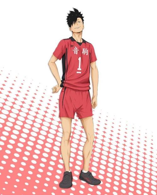 megumi86: Official anime page has been updated with Fukurodani, Nekoma and Shiratorizawa profiles. 