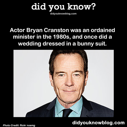 did-you-kno:  Actor Bryan Cranston was an ordained minister in the 1980s, and once