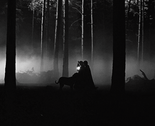 It Was A Dream, I Dreamed A Giant Called Hagrid Came To Tell Me I Was Going To A School For Wizards.