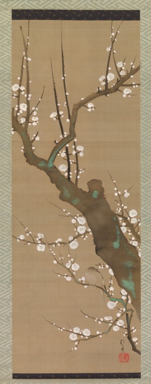 酒井抱一筆   鶯白梅図            Title:                     Bush Warbler (Uguisu) in a Plum Tree             