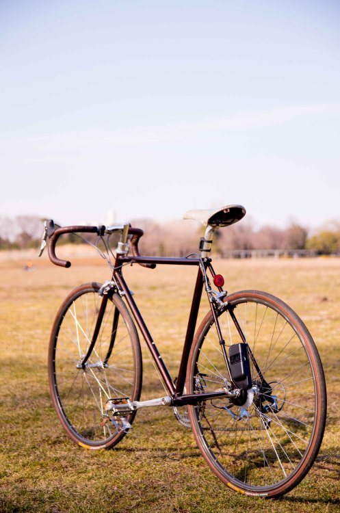 hobby-horse:SIVA CYCLE ATOM × EDDY MERCKX Corsa Extra（ポタコミ）