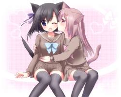 all of the adorable nekos