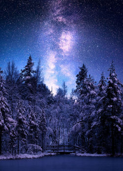 lori-rocks:  stars over finland by m-eralp