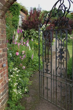 theladyintweed:  A walled garden, EnglandPhoto by Phyllis Trevor Higgerson 