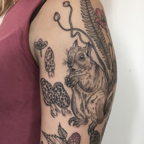 Tailless squirrel morel mushrooms blackberries poppies fern #squirreltattoo #morelmushrooms #poppyta