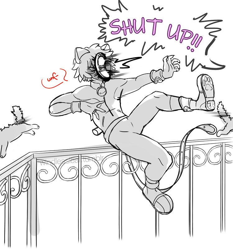 windlessleaf:  “You know how cats apparently go on top of wooden fences and “sing”