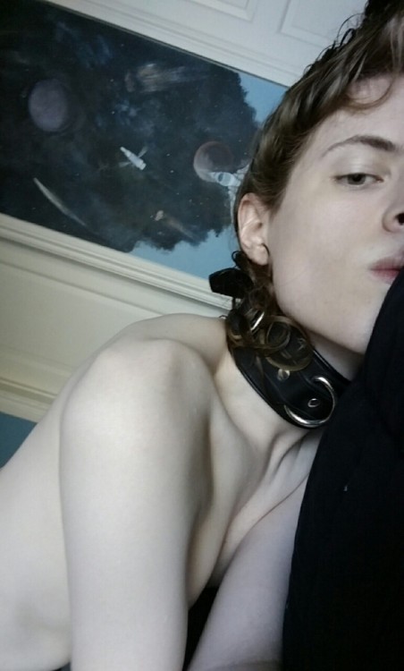 dysgalty:  Socks and collar ~