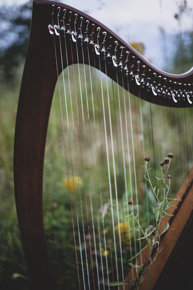 Photo of a harp in a meadow, with flowers growing behind and around it.
