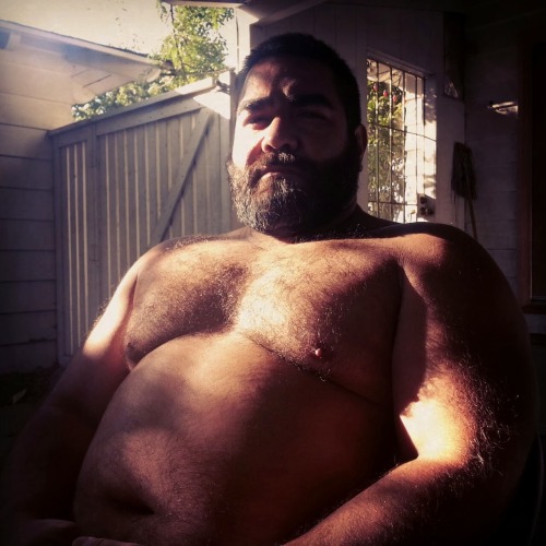 hunghairybear:  nippletheory:  I know I copied this from Tumblr but not sure where. Probably brutesndaddies, since it’s Louie.   Louie. Hot daddy bear.