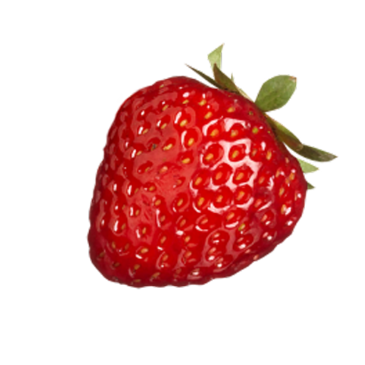 steampunkstrawberries:  but that’s just the tip of the yikesburg 