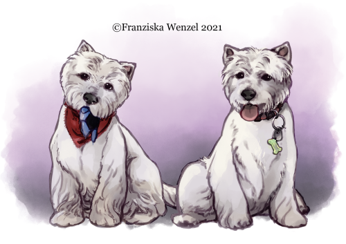 Jenny and Babou the westies for @codeadleaf <3Thank you!If you would also like a commission, you 