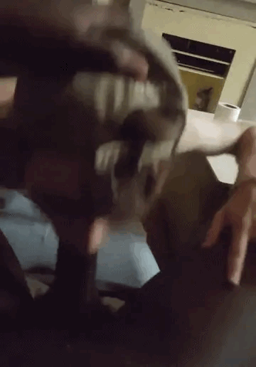 blackasseater:  str8toblk: Boy learns to control his gag reflex i learned to control