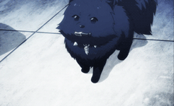 shiruba-tsuki:   R E N - episode 10  