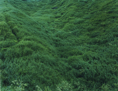 gardenhoseenema:   Rinko Kawauchi