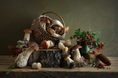 elinka:Mushrooms and berriesby Алексеев Сергей