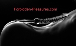 lilsubpet:  fur-n-steel:  forbidden-pleasures-store: