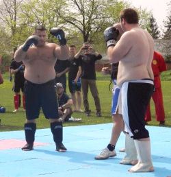 justbulls:  Bull Fight