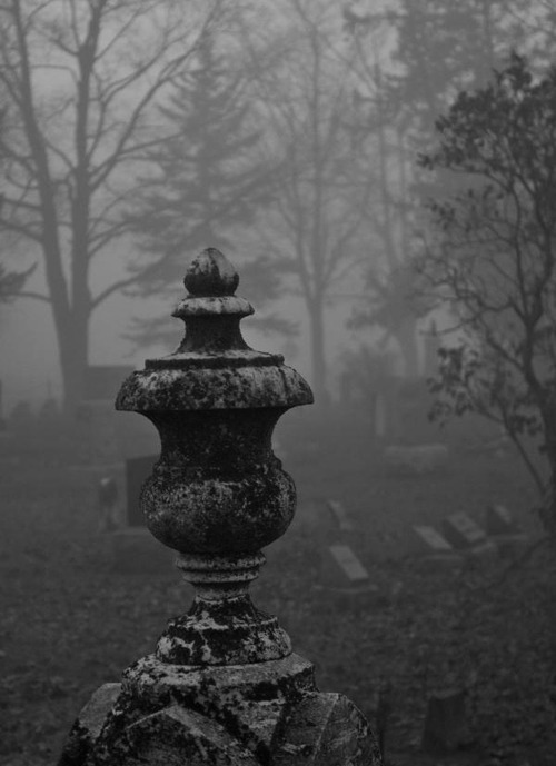 matiasywea.tumblr.com/post/97326540646/