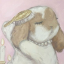 cinnamon-honeys-blog
