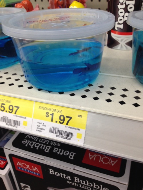 marymargaret23: Okay, listen up. I’m hear to talk about fish abuse. I’m in Walmart with 