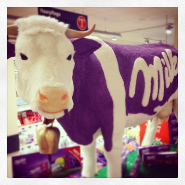 #mooow #milka #cow #lila #chocolate #german #munich 😄 (hier: Tengelmann Frankfurter Ring)