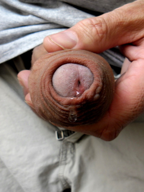 daddycockclub:  HOT DADDY COCK OF THE DAY! EMAIL YOUR DADDY COCK HERE: daddiesrule@live.com FOLLOW US BY CLICKING HERE:  Daddy Cock Club FIND MORE DADDY COCKS HERE: DaddiesRule or DaddiesRule.com 