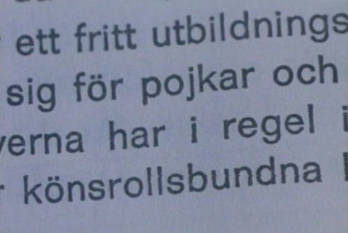 Tjejerna Gör Uppror 1977“Eleverna har i regel inte närmare reflekterat över eller förstått vad som ä