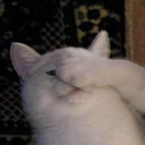candyegirl:meow