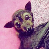 ging3rkidd:  Waaaant 