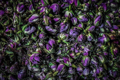 Rose Tea, The Grand Bazaar, Istanbul.