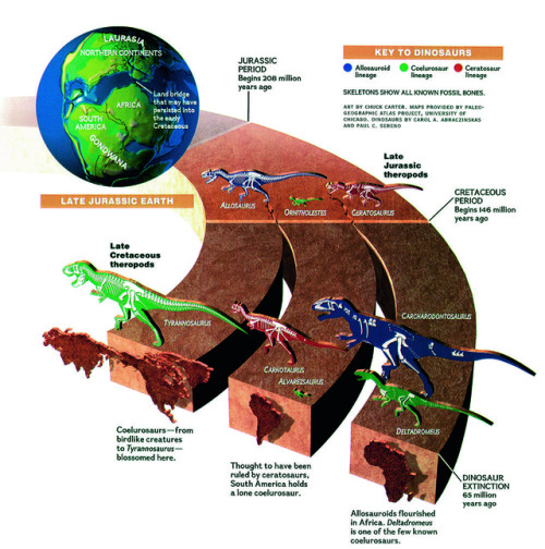 nevver:National Geographic Infographics, Taschen