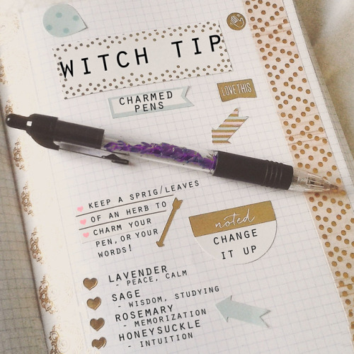 advicewitch: stonesandsigils:  orriculum: little witchy idea~ OK but this is amazing???  This is so 