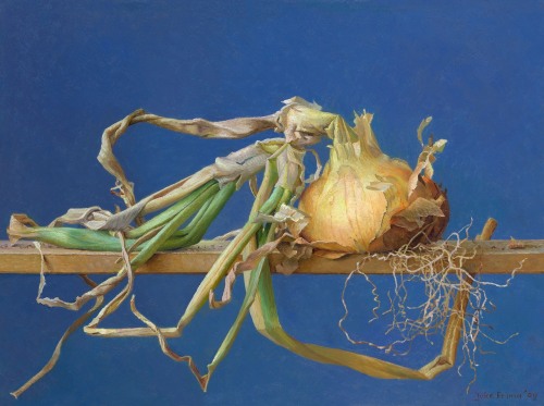 The Flamboyant Onion, by Joke Frima.