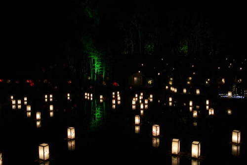 Winter Illuminations, Shobara Bihoku Park 