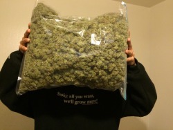 reddlr-trees:  I’m a pothead. 