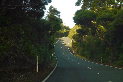 20160507 - On the road towards Kitekite Falls, Auckland.