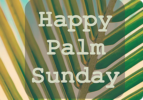 catholic-sarah:Happy Palm Sunday.