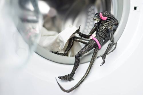 xenomorphies:who is she?