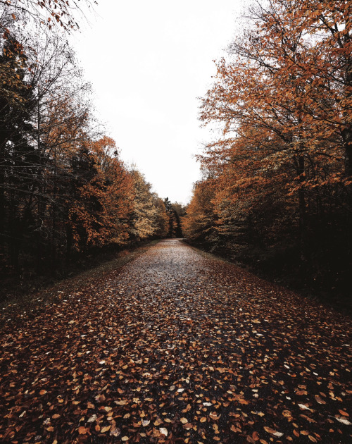 I'm So Glad I Live In A World Where There Are Octobers. L.M. Montgomery