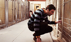gamemodeartpop-deactivated20160:  “Dog Eat Dog” starring Zachary Quinto 
