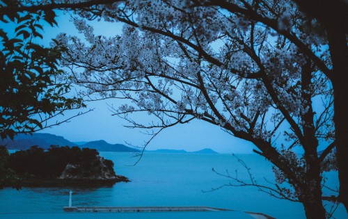 Dusk, Naoshima