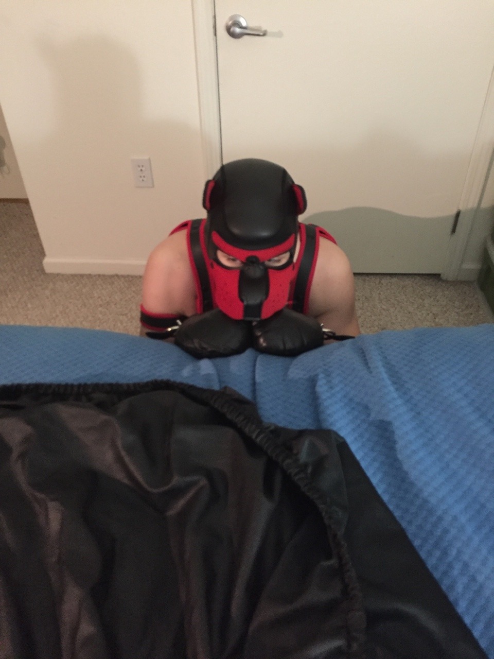 rbrlover: This past weekend I had the privilege of seeing a new sexy muscle pup being