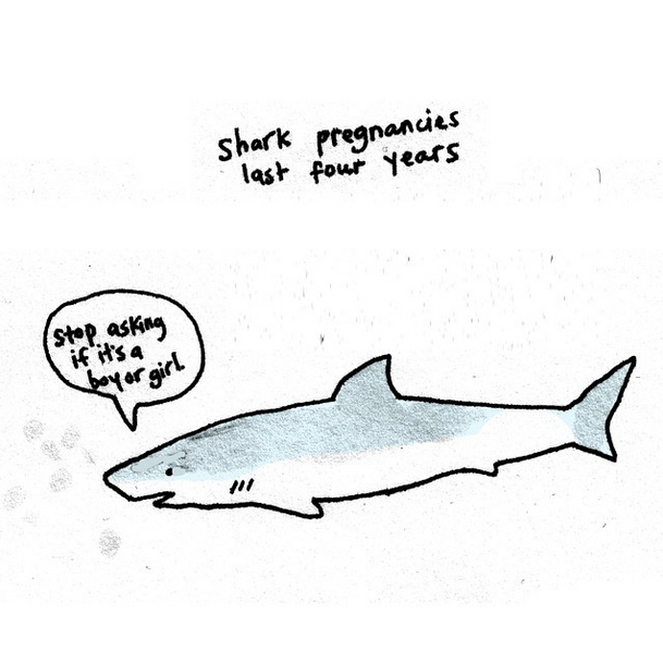 nevver:  Sad Animal Facts, Brooke Barker